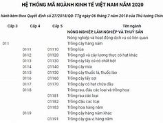 Chi Tiết Mã Ngành 6202