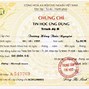 Chứng Chỉ Công Nghệ Thông Tin Theo Thông Tư 03