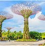 Chuyến Du Lịch Vượt Biển Singapore