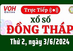 Đồng Tháp Hôm Nay Đồng Tháp Hôm Nay