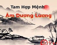 Thái Dương Thiên Lương Tại Mệnh